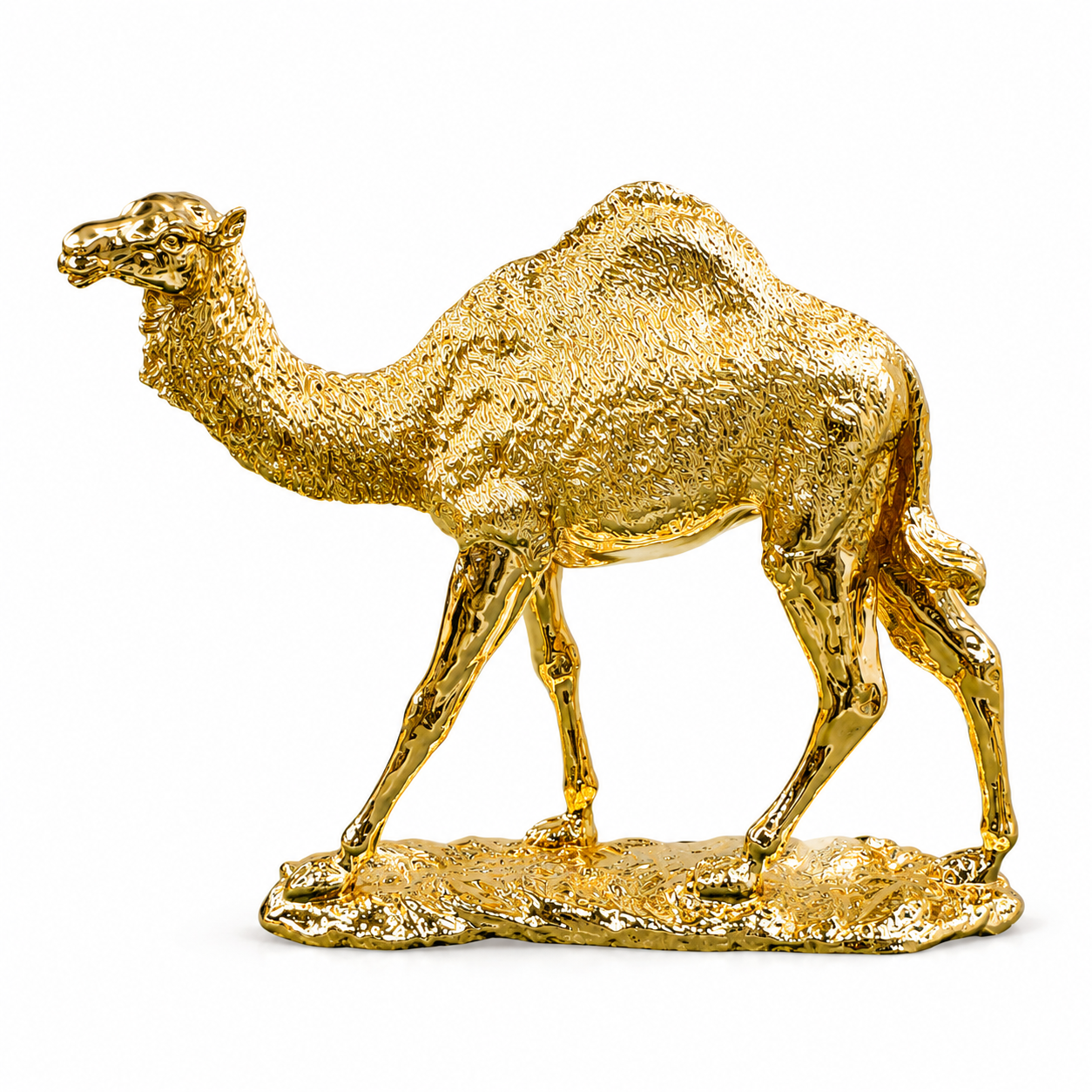 Camel