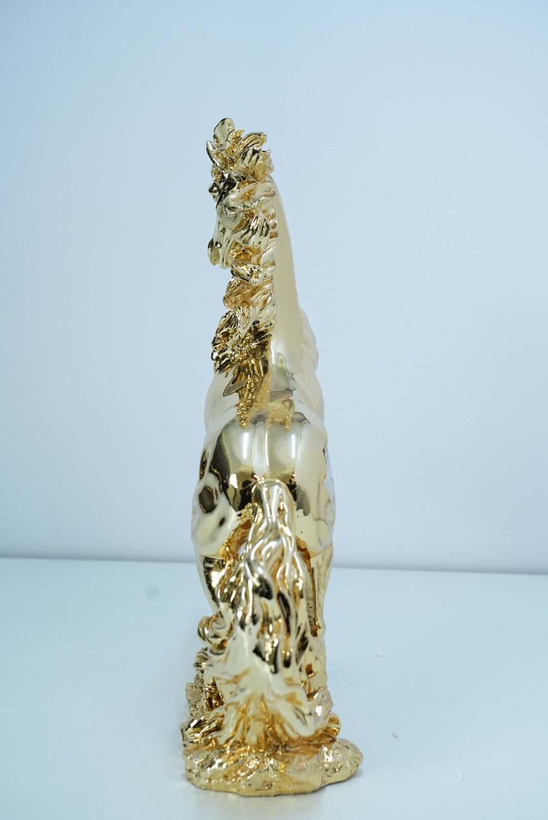 Horse - Image 4