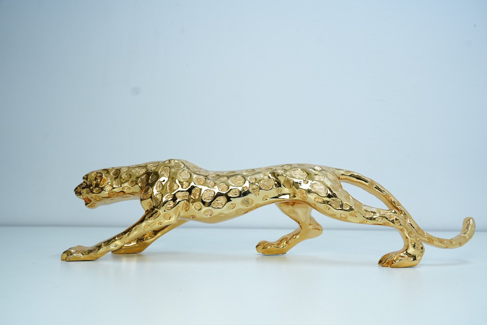 Jaguar - Image 3