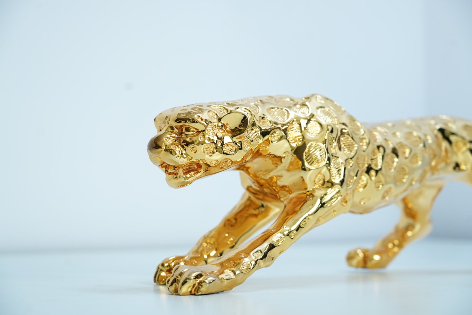 Jaguar - Image 4