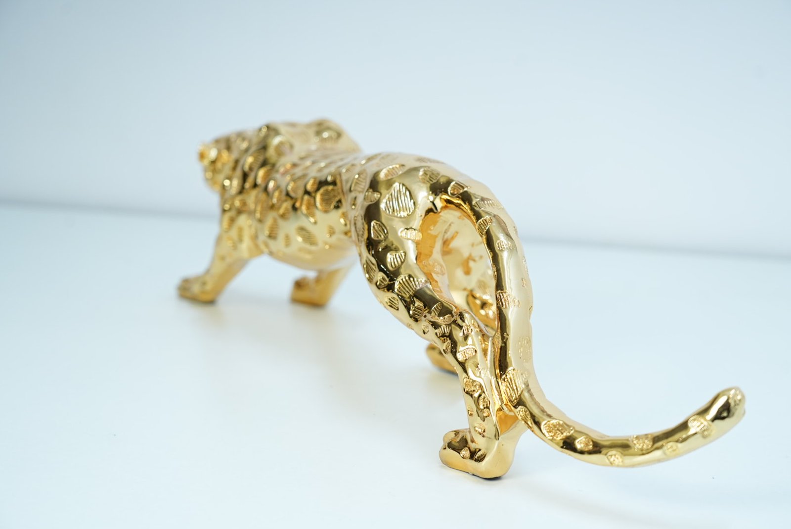 Jaguar - Image 5