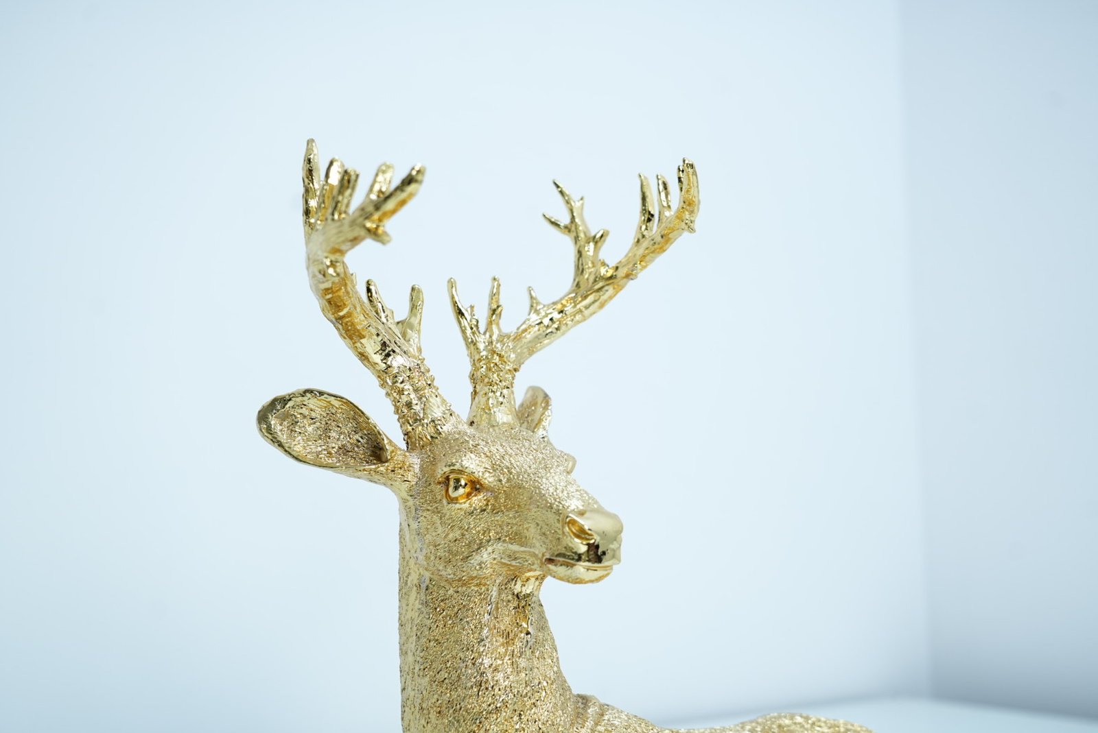 Deer - Image 4