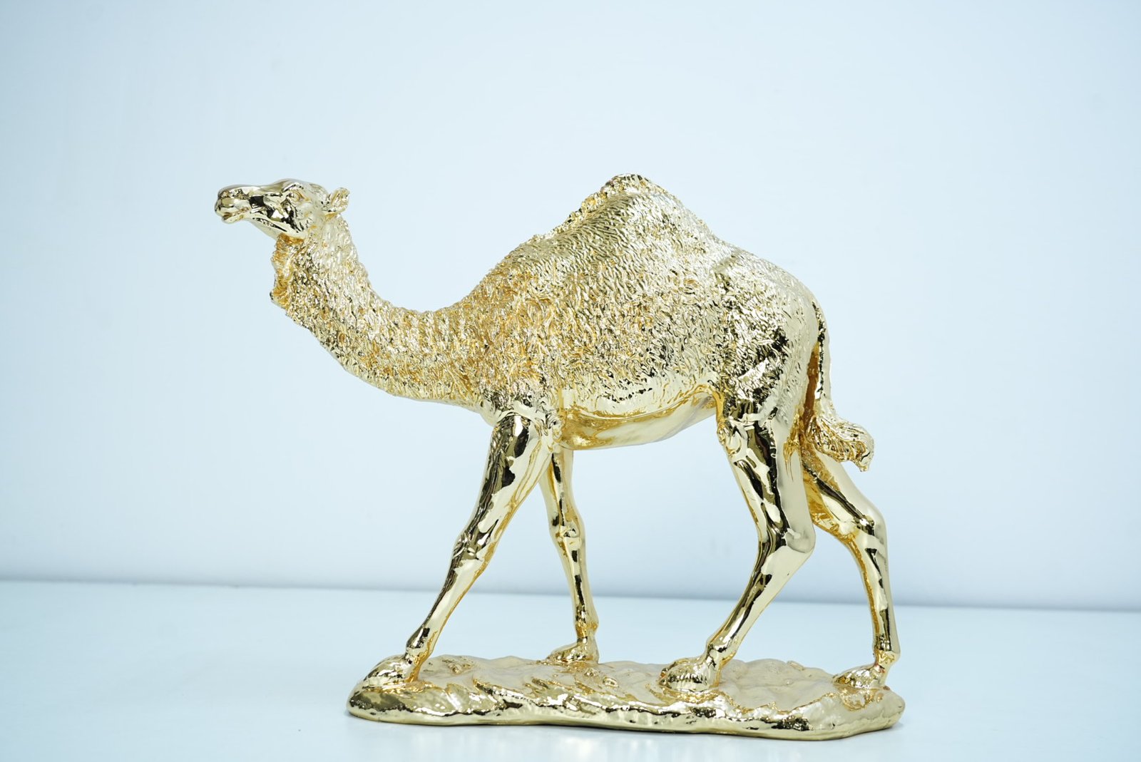Camel - Image 3