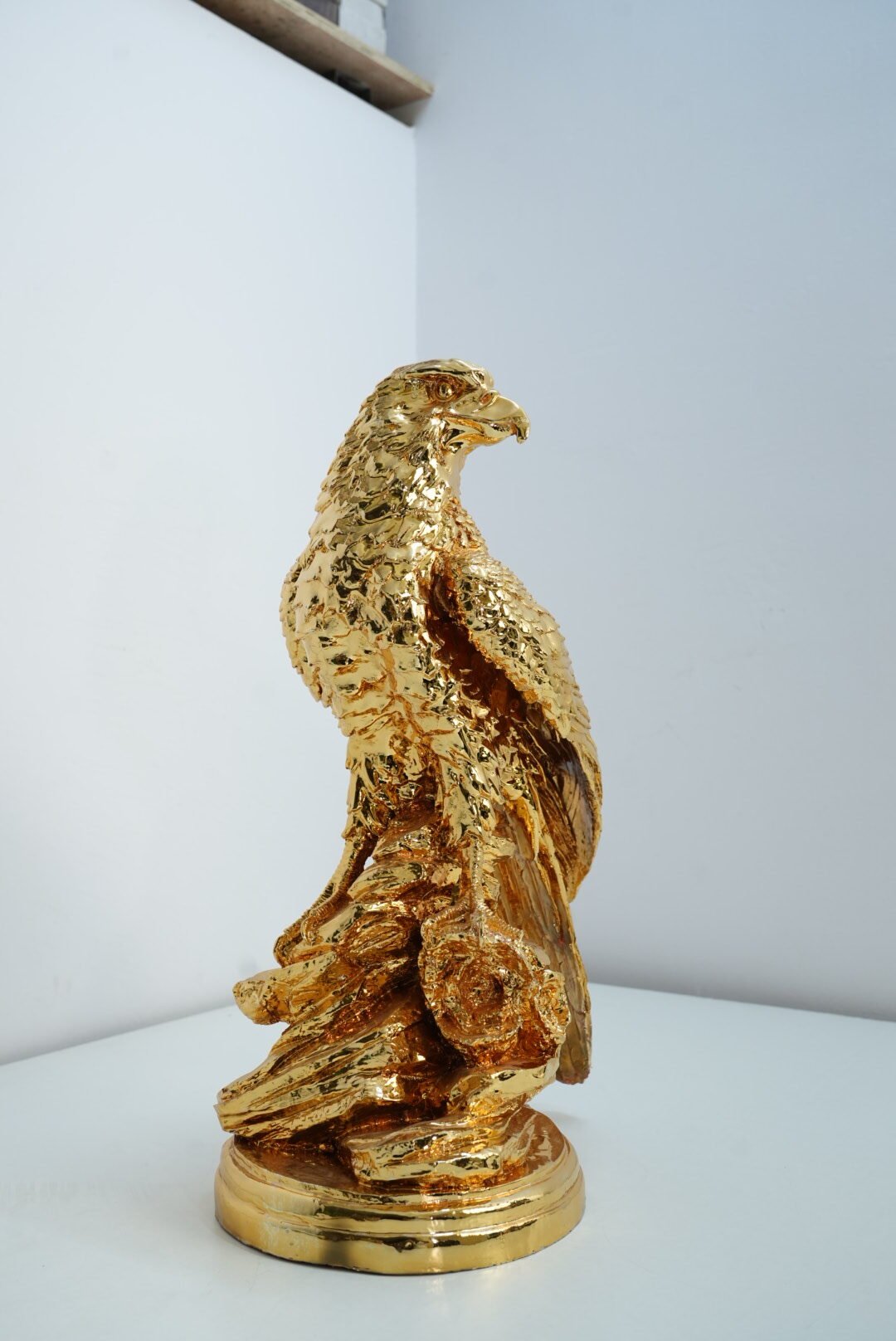 Eagle - Image 5