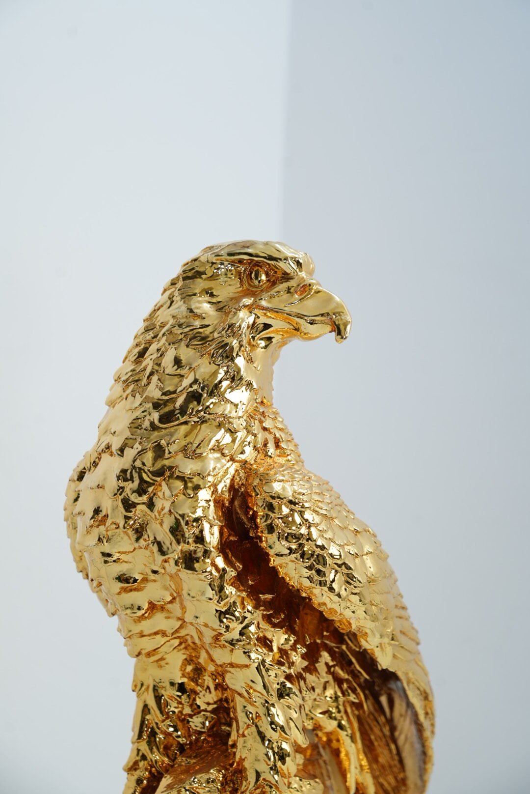 Eagle - Image 3