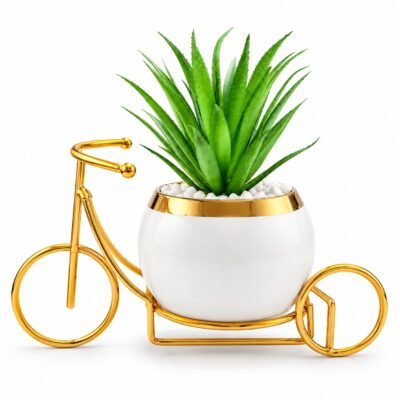 Flower Pot