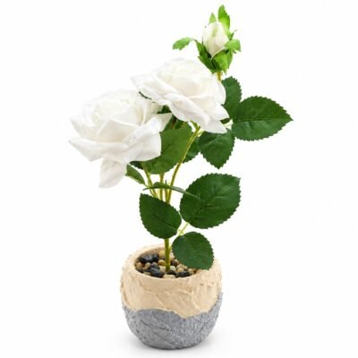 Flower Pot