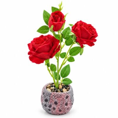Flower Pot